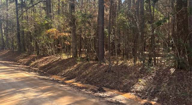 Photo of TBD Midway Loop W, Livingston, TX 77351