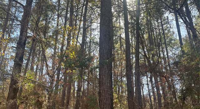 Photo of TBD Midway Loop W, Livingston, TX 77351
