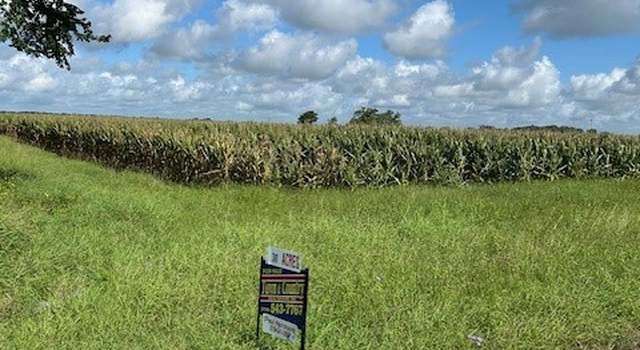 Photo of 0 Fm-1160, Louise, TX 77455