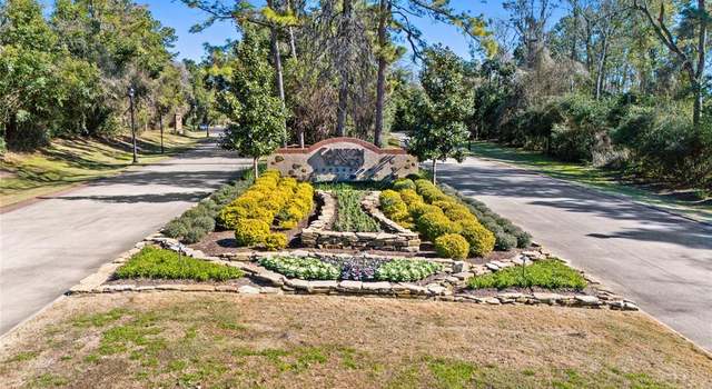 Photo of 18 N Badger Lodge Cir, Spring, TX 77389