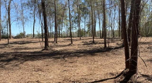 Photo of 311 Cove Lake Dr, Livingston, TX 77351