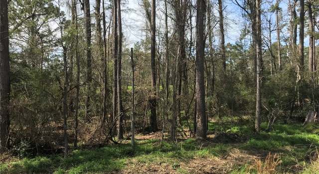 Photo of 580 Parkview Dr, Onalaska, TX 77360