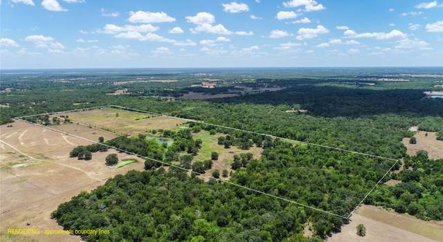 Photo of 5380 County Road 132 - 81 Acres, Somerville, TX 77879