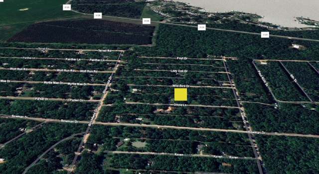 Photo of TBD Wild Bird, Livingston, TX 77351