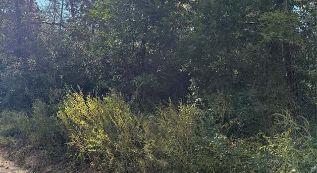 Photo of TBD Lannie Blvd, Livingston, TX 77351