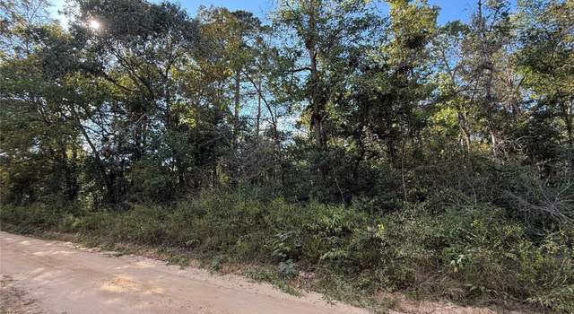 Photo of TBD Lannie Blvd, Livingston, TX 77351
