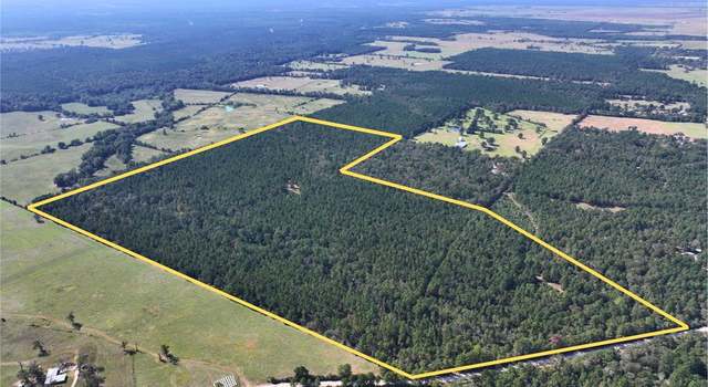 Photo of 0 County Road 3575, Lovelady, TX 75851