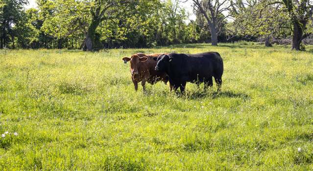 Photo of 17240 Fm 1887 Rd, Hempstead, TX 77445