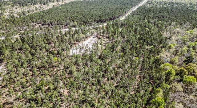 Photo of 950 Private Road 8160, Lovelady, TX 75851