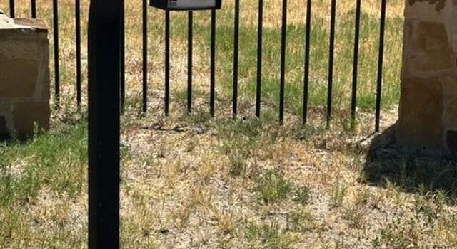 Photo of TBD Westview - 20 Acres, Huntsville, TX 77320