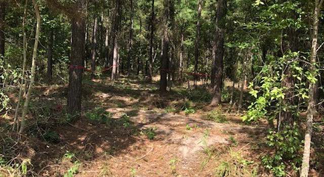 Photo of 0 Kickapoo - Tract 33 Colt Ii Rd, Groveton, TX 75845