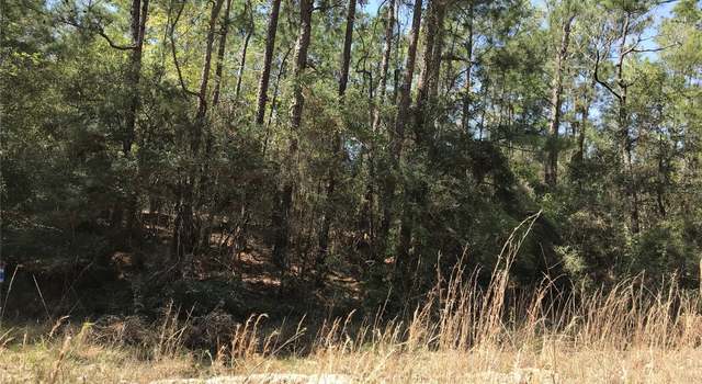 Photo of tbd lot 29 Parkview Dr, Onalaska, TX 77360