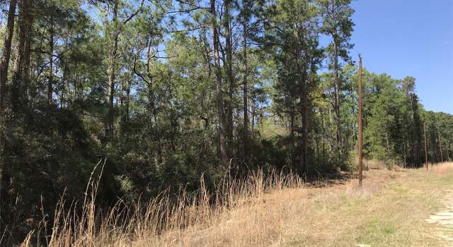 Photo of tbd lot 29 Parkview Dr, Onalaska, TX 77360