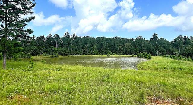 Photo of TBD Fm 1119, Leona, TX 75850