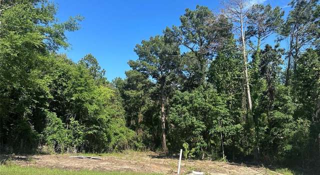 Photo of TBD Plum Tree Cir, Livingston, TX 77351