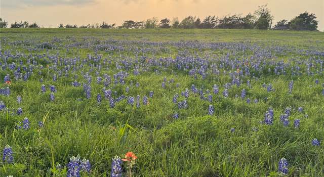 Photo of 000 Krueger Rd, Bleiblerville, TX 78931