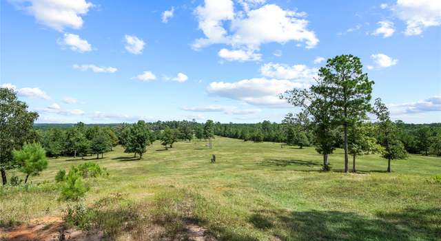 Photo of TBD Fm 980, Point Blank, TX 77364
