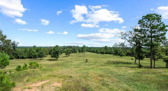 Photo of TBD FM 980, Point Blank, TX 77364
