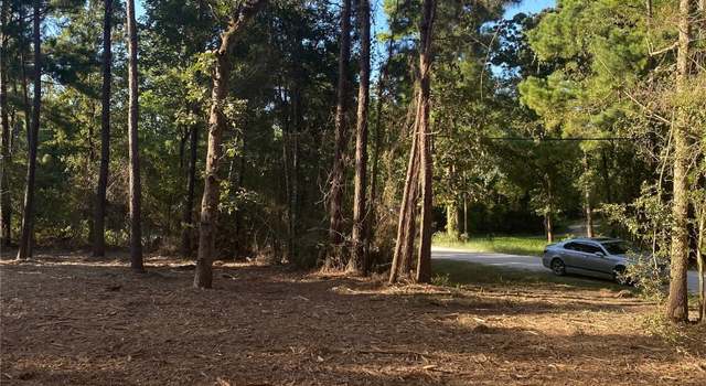 Photo of 14628 Shadows End Dr, Plantersville, TX 77363