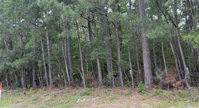 Photo of TBD Fm-980 N, Point Blank, TX 77364