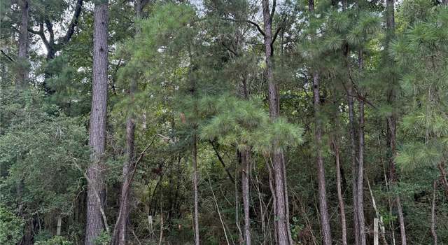 Photo of TBD Fm-980 N, Point Blank, TX 77364