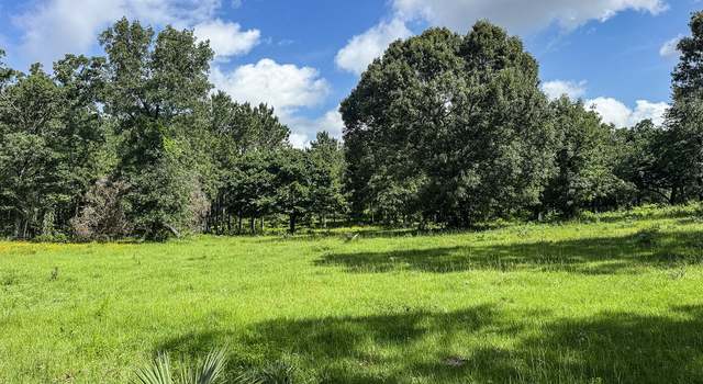 Photo of 66.8 Acres Fm 230, Trinity, TX 75862