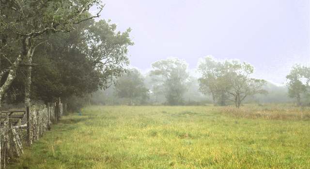 Photo of 0 County Road 475, Damon, TX 77430