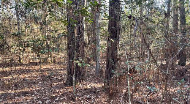 Photo of TBD Josephine Rd, Livingston, TX 77351