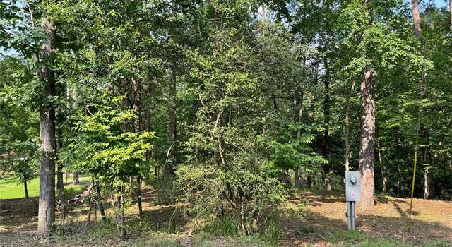 Photo of 20 Lower Cove Dr, Point Blank, TX 77364