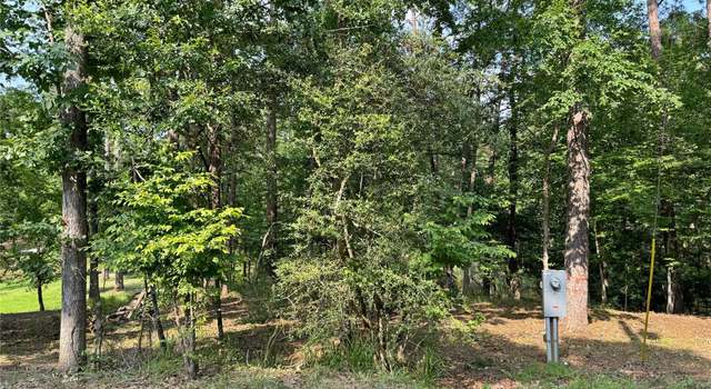 Photo of 20 Lower Cove Dr, Point Blank, TX 77364
