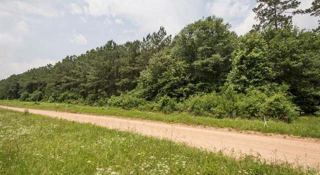 Photo of 0 Felix Currie Rd, Point Blank, TX 77364