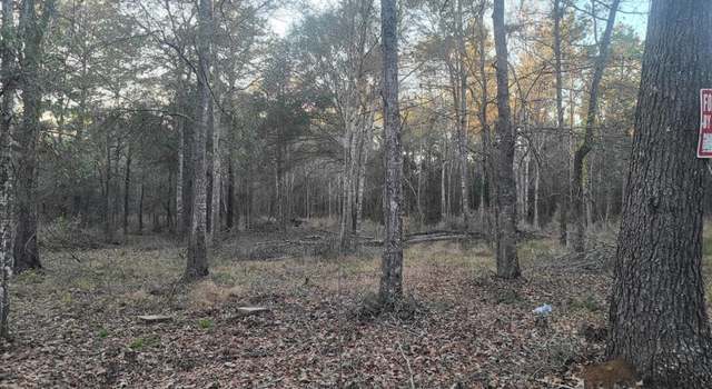Photo of 19156 Leicester, New Caney, TX 77357