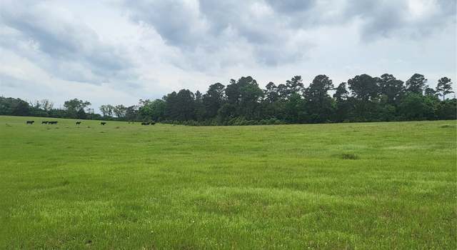 Photo of 227W & TBD Hayesspring, Grapeland, TX 75844
