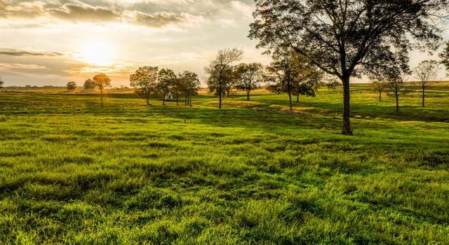 Photo of TBD Sunshine Lot 12 Ct, Chappell Hill, TX 77426
