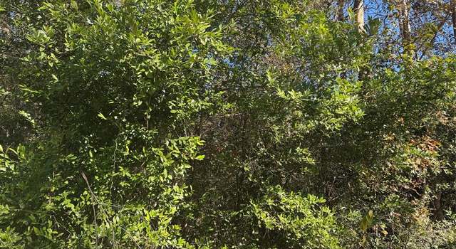 Photo of TBD Lakeview Ln, Shepherd, TX 77371