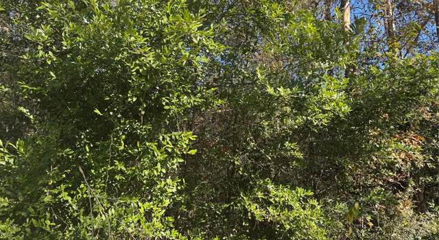 Photo of TBD Lakeview Ln, Shepherd, TX 77371