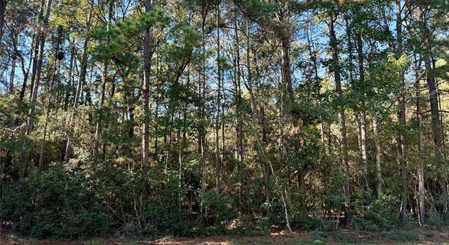 Photo of 31015 Sherrie Ln, Magnolia, TX 77354