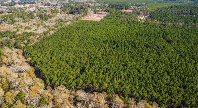 Photo of 970 Josserand Rd, Groveton, TX 75845