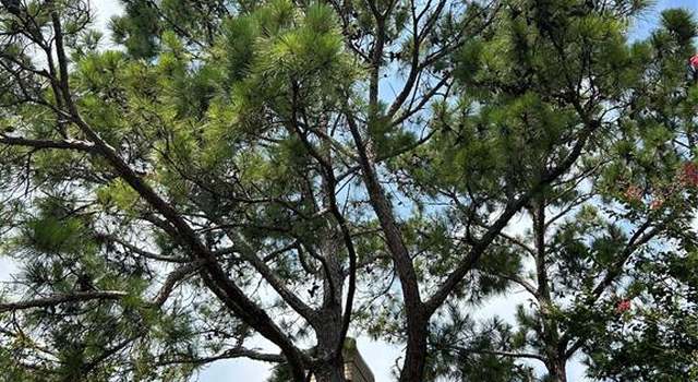Photo of 2021 Spenwick Dr #315, Houston, TX 77055