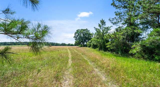 Photo of 20435 Fm-1791, Richards, TX 77873