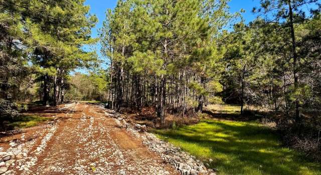 Photo of 11408 County Road 351, Plantersville, TX 77363