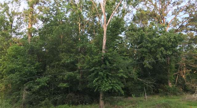 Photo of 150 Lakeside Ct, Goodrich, TX 77335