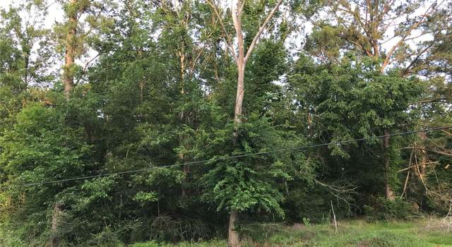 Photo of 150 Lakeside Ct, Goodrich, TX 77335