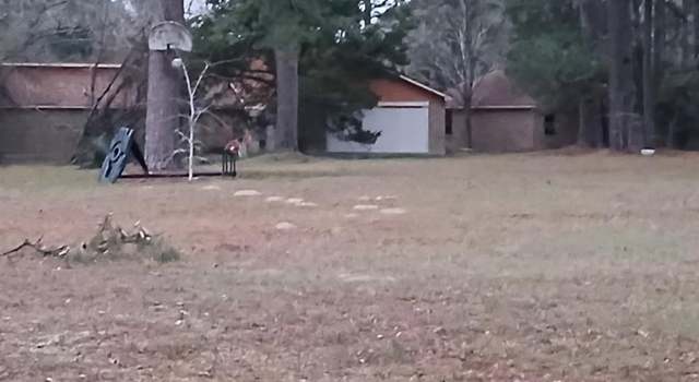 Photo of 7325 County Road 232, Richards, TX 77873