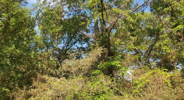 Photo of Lot 33 Drake Ln, Hempstead, TX 77445