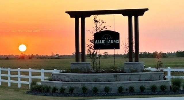 Photo of Lot 1 Allie Ln, Dayton, TX 77535