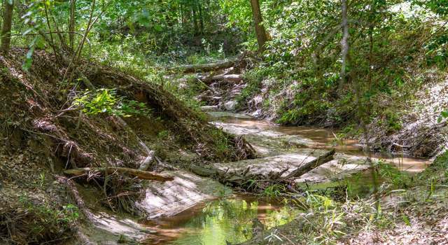 Photo of TBD Williams Rd, Broaddus, TX 75929