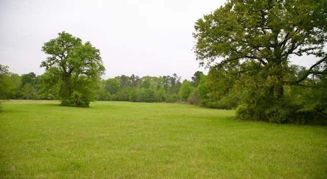 Photo of 185 Hearne Rd, Corrigan, TX 75939