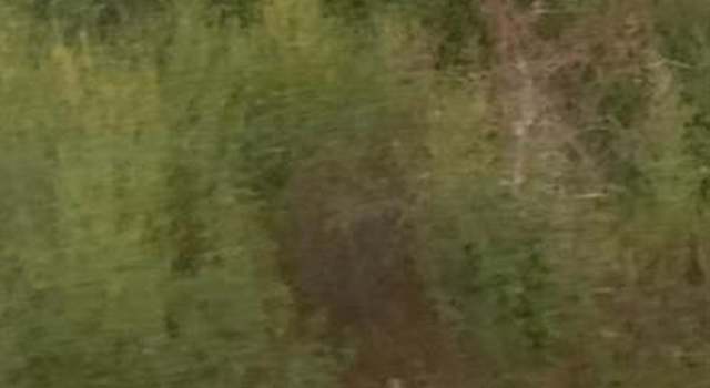 Photo of 00 Atlantic Dr, Humble, TX 77346