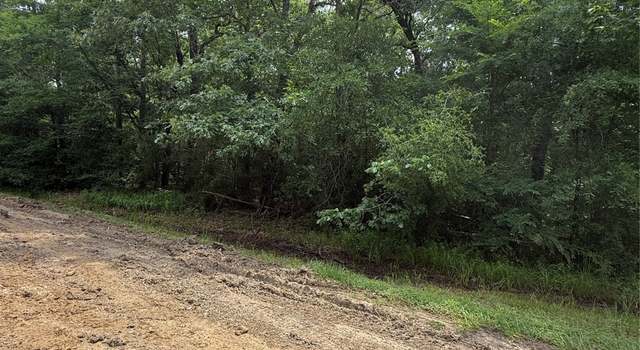 Photo of N/A Lakecrest, Livingston, TX 77351